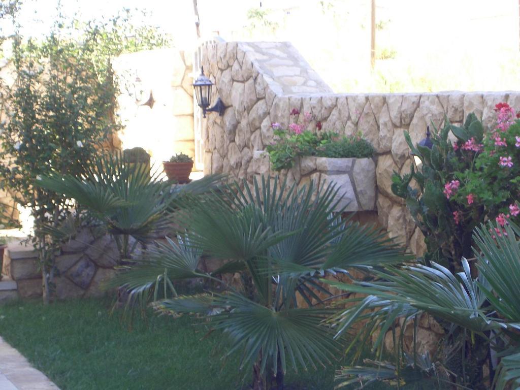 Apartments Ana Vir Room photo